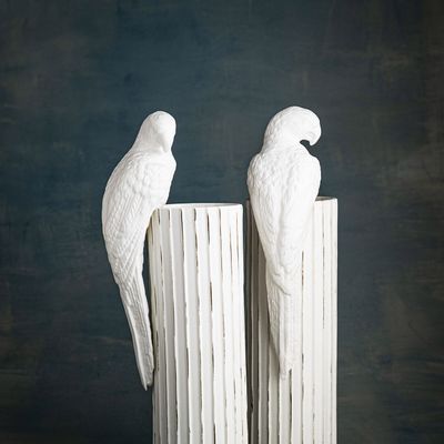 Accessoires de déco extérieure - Perroquet en céramique fait main - WALTER - KLATT OBJECTS