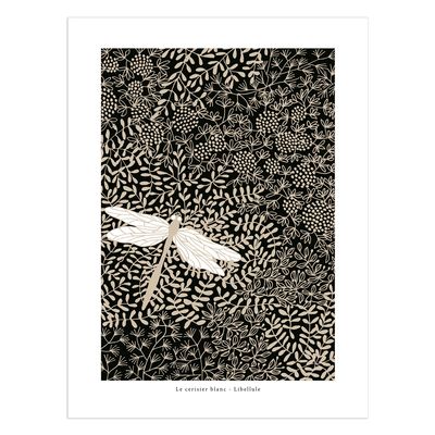 Affiches - Affiche Libellule - LE CERISIER BLANC
