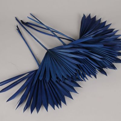 Floral decoration - Palm sun dried blue H50cm - LE COMPTOIR.COM