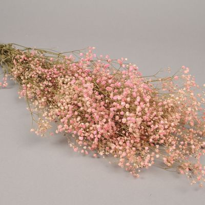 Décorations florales - Gypsophile paniculé préservé rose H75cm - LE COMPTOIR.COM