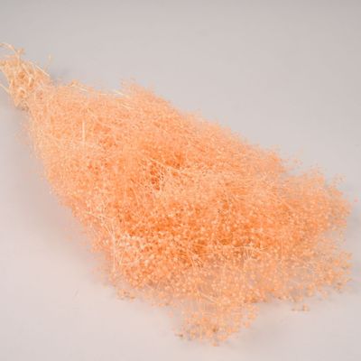 Floral decoration - Preserved peach gypsophila H60cm - LE COMPTOIR.COM