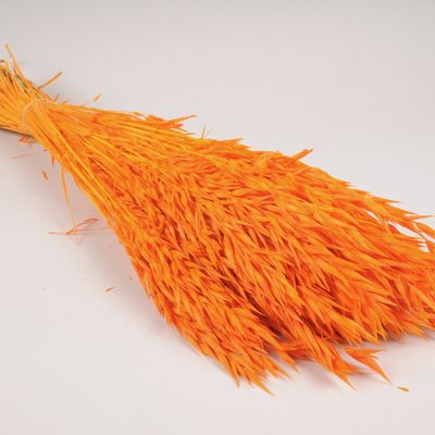 Floral decoration - Orange dried oats H70cm - LE COMPTOIR.COM