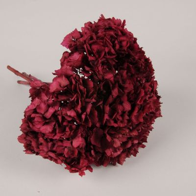 Décorations florales - Hortensia préservé framboise H36cm - LE COMPTOIR.COM