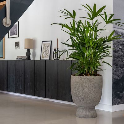 Pots de fleurs - Collection Ciment & Stone - POTTERY POTS