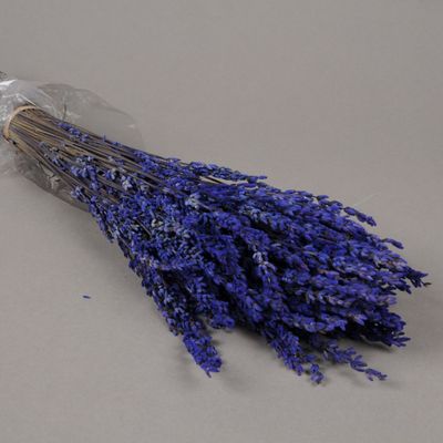Décorations florales - Lavande préservée bleue H50cm - LE COMPTOIR.COM