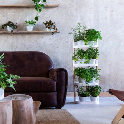 Shelves - Étagère Pour Plantes - 4 Plateaux - CITYSENS