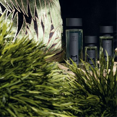 Parfums d'intérieur - JADE Brume de Parfum d’Intérieur 200 ml - MURIEL UGHETTO