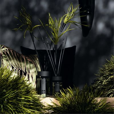 Diffuseurs de parfums - JADE Diffuseur de Parfum d’Intérieur 500 ml - MURIEL UGHETTO