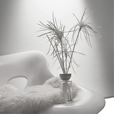 Scent diffusers - QUARTZ Home Fragrance Diffuser 500 ml - MURIEL UGHETTO