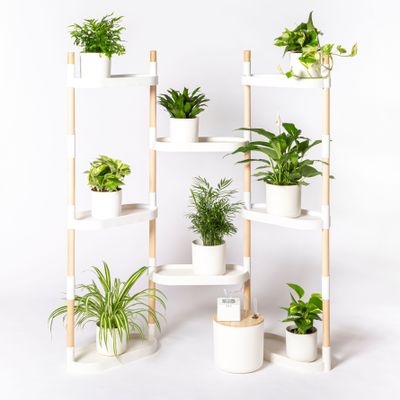 Shelves - Self-watering 8-tray plant shelves - CITYSENS