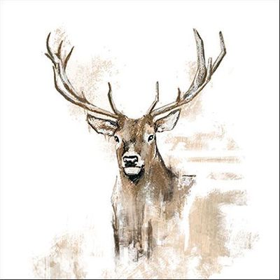 Cadeaux - Antlers - AMBIENTE EUROPE BV