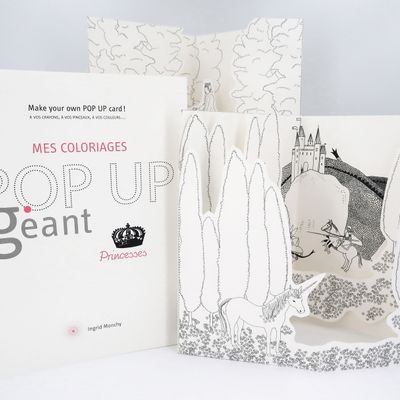 Carterie - Cartes POPUP personnalisables - DIY - Princesses Géant - MES COLORIAGES POPUP
