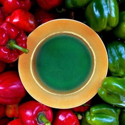 Assiettes au quotidien - Uranus dinner plate - PORCELAINE DU LOT VIREBENT