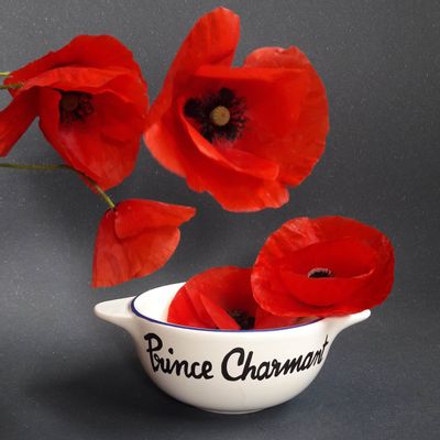 Bowls - PRINCE CHARMING - BRETON BOWL REVISITED - PIED DE POULE