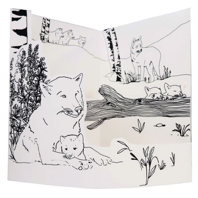 Gifts - Customizable cards - DIY - WOLF - MES COLORIAGES POPUP