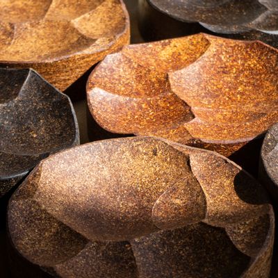 Trays - SILEXUS Tray - BOUTURES D'OBJETS