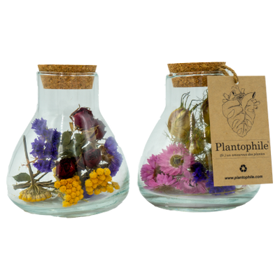 Objets de décoration - Mini Erlenmeyer avec fleurs sèchées - PLANTOPHILE