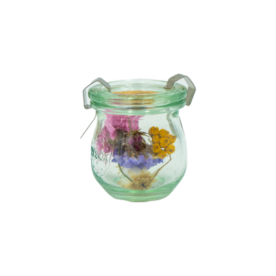 Decorative objects - Mini WECK with dried flowers - small - PLANTOPHILE