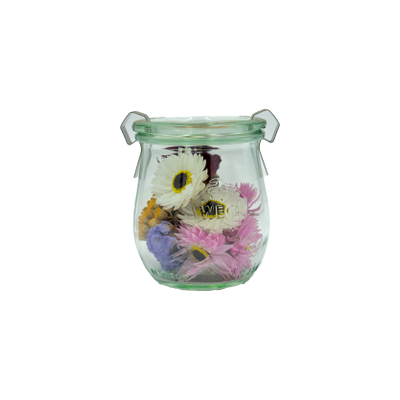 Decorative objects - Mini WECK with dried flowers — medium - PLANTOPHILE