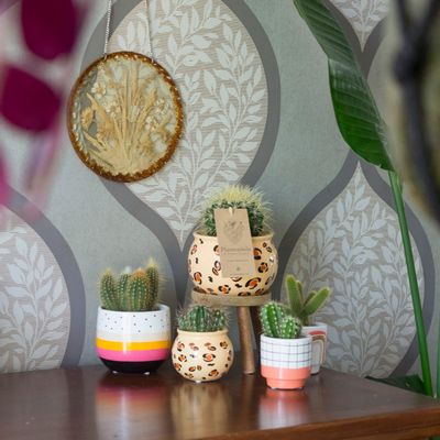 Objets de décoration - Cactus & succulent, ceramique BOHO assortie - small - PLANTOPHILE