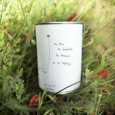 Decorative objects - Sowing kit\" Simplicity\ " - MAUVAISES GRAINES