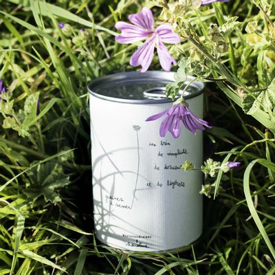 Decorative objects - Sowing kit\" Simplicity\ " - MAUVAISES GRAINES