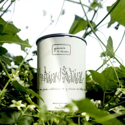 Objets de décoration - Kit à semer "Jardin Intérieur" - MAUVAISES GRAINES