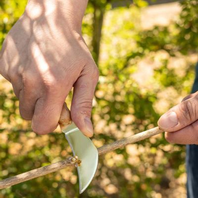 Accessoires de jardinage - GARDEN TOOLS for garden lovers and professionals: - ESSCHERT DESIGN