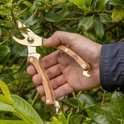 Garden accessories - GARDEN TOOLS for garden lovers and professionals: - ESSCHERT DESIGN