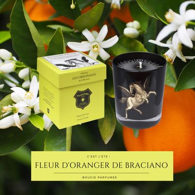 Cadeaux - Bougie Parfumée : Fleur d'Oranger de Bracciano 180 g. Cire Végétale. - YLUSTRE