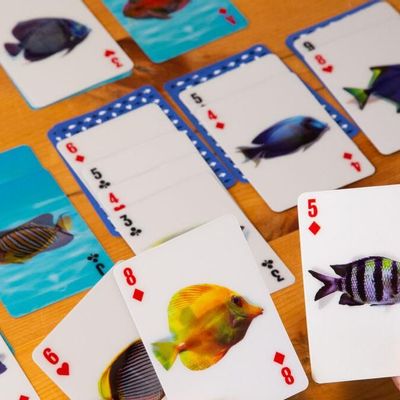 Toys - FISH 3D CARDS - KIKKERLAND