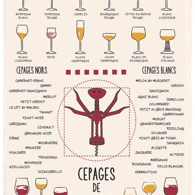 Torchons - Torchon Vins et cépages Ecru 50 x 70 - MAISON VIVARAISE - SDE VIVARAISE WINKLER