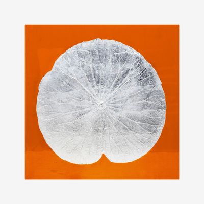 Tableaux - Feuille de lotus - SO SKIN - IDASY