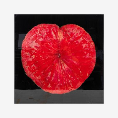 Paintings - Lotus leaf - SO SKIN - IDASY
