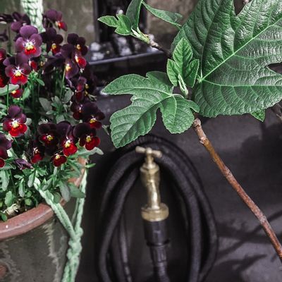 Accessoires de jardinage - Tuyau d'arrosage Deluxe - Noir 25m - BY BENSON
