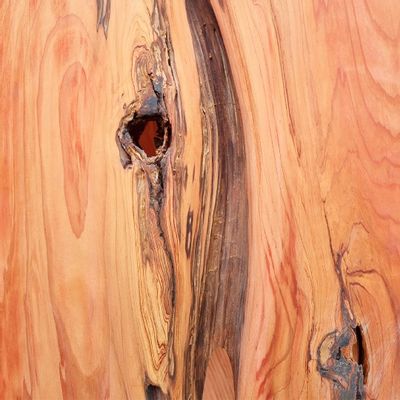 Fauteuils - UNICITÉ (Séquoia) - Sculpture - LES ARBRES DE VIE