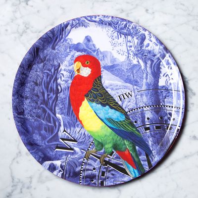 Outdoor decorative accessories - Parrot and Rose of the Winds serving tray - PARADISIO IMAGINARIUM