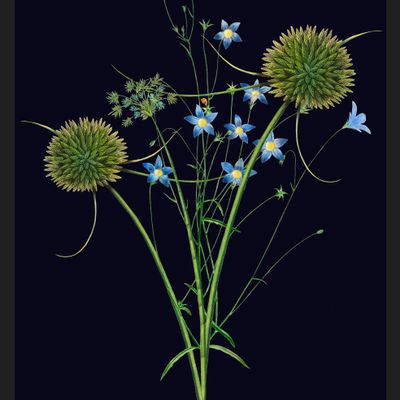 Other wall decoration - Wall art  Bouquet of field flowers  black background - PARADISIO IMAGINARIUM
