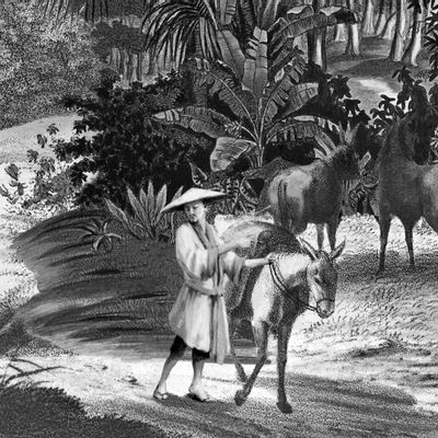 Wallpaper - ON THE BANKS OF THE MEKONG in Black and White - PARADISIO IMAGINARIUM