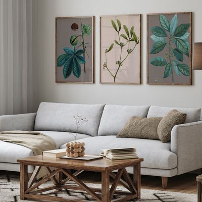 Poster - Posters - Botany - THE DYBDAHL CO.