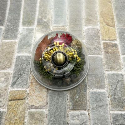 Decorative objects - Flexi'Nature© Grand Dome Doorbell - LA FÉE SONNETTE