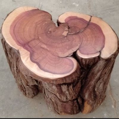 Tables de nuit - Table d'appoint Juniper - SINTALA