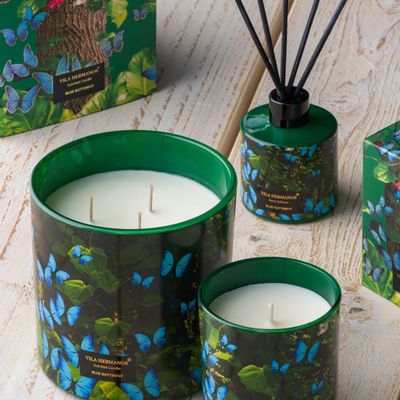 Candles - Blue Butterfly - VILAHERMANOS