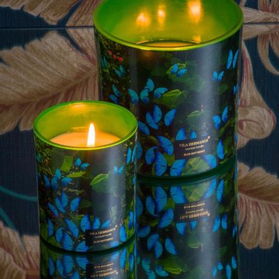 Candles - Blue Butterfly - VILAHERMANOS