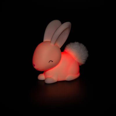 Gifts - Bunny - DHINK.EU