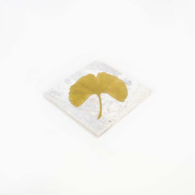 Objets de décoration - Set de 2 dessous de bouteille carrés Ginkgo en pierre naturelle - L INDOCHINEUR X RIVÊT