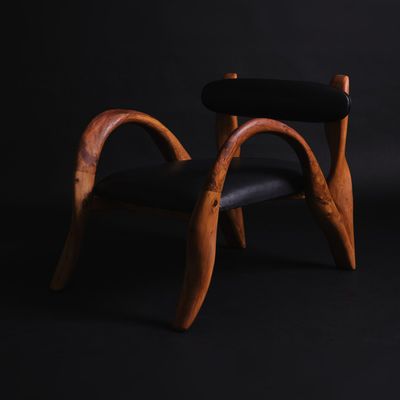 Fauteuils - AGDAL - Fauteuil royal - CALLITRIS