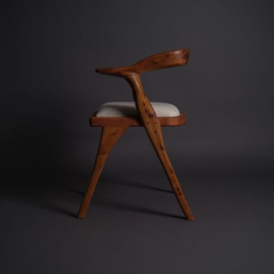 Chaises - YINIS - Chaise en bois de thuya - CALLITRIS