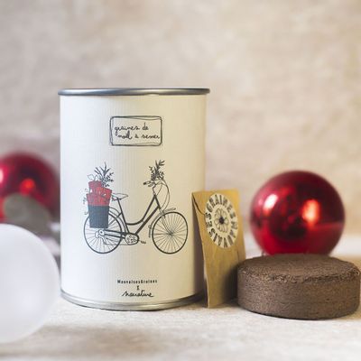 Cadeaux - Kit à semer "Vélo de Noël" - MAUVAISES GRAINES