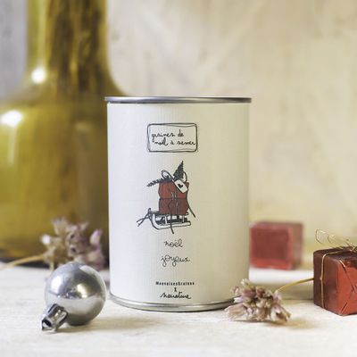 Cadeaux - Kit à semer "Noël Joyeux" - MAUVAISES GRAINES